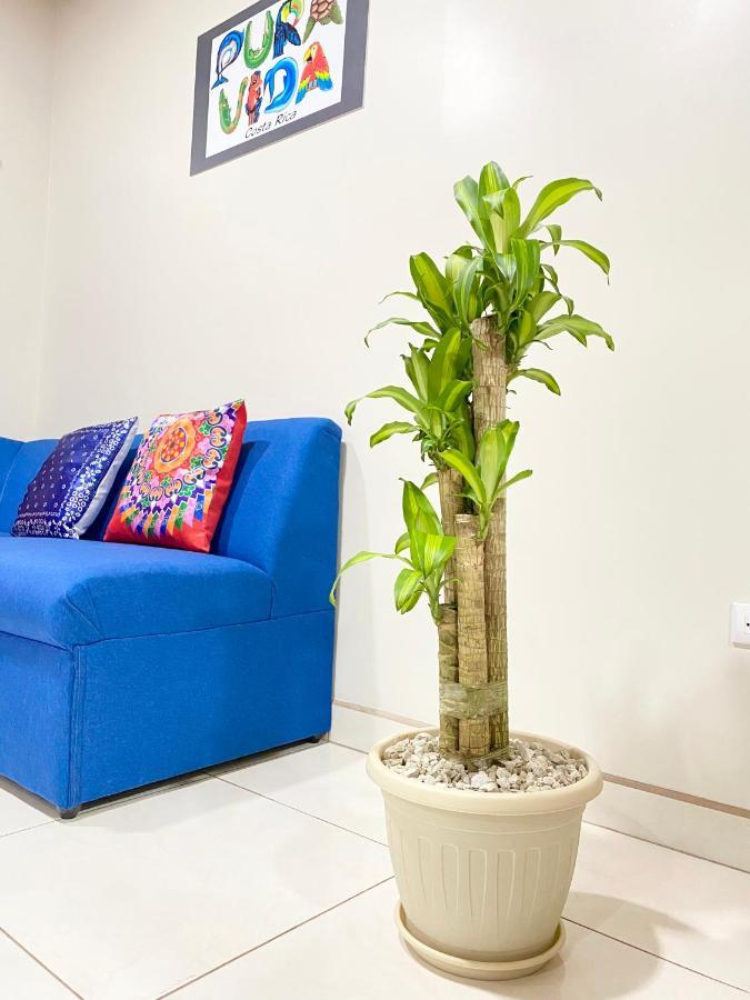 Pura Vida Apartment. 5 Min From Airport Алахуела Екстер'єр фото